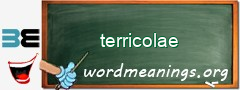 WordMeaning blackboard for terricolae